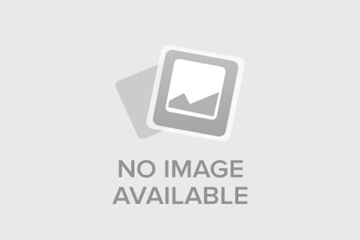 Шальная пуля 2