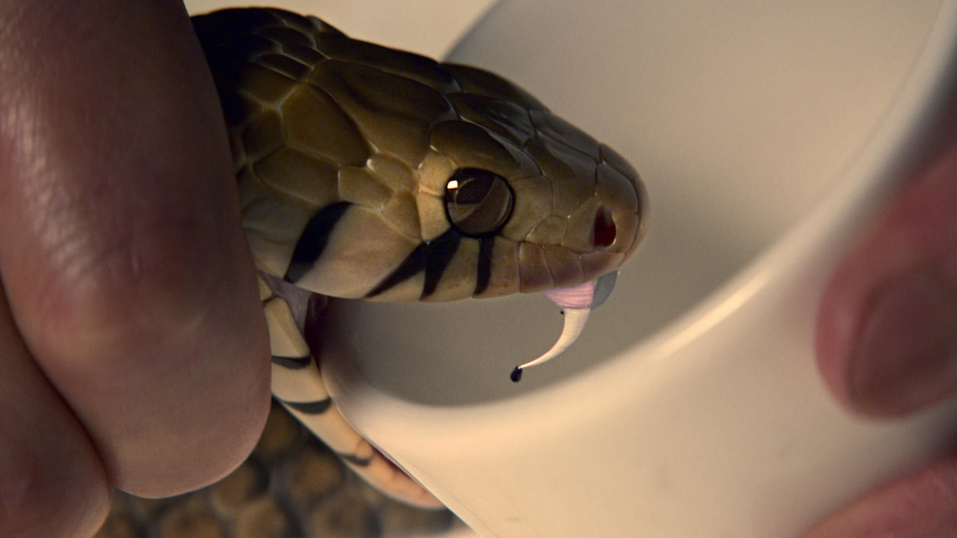 Убийцы Ву 6 серия