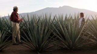 Монархиня 1 сезон 1 серия