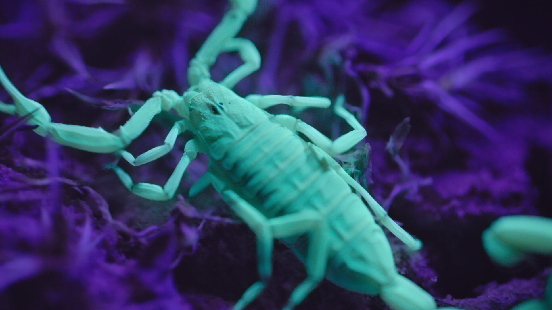 Инопланетные миры 2 серия