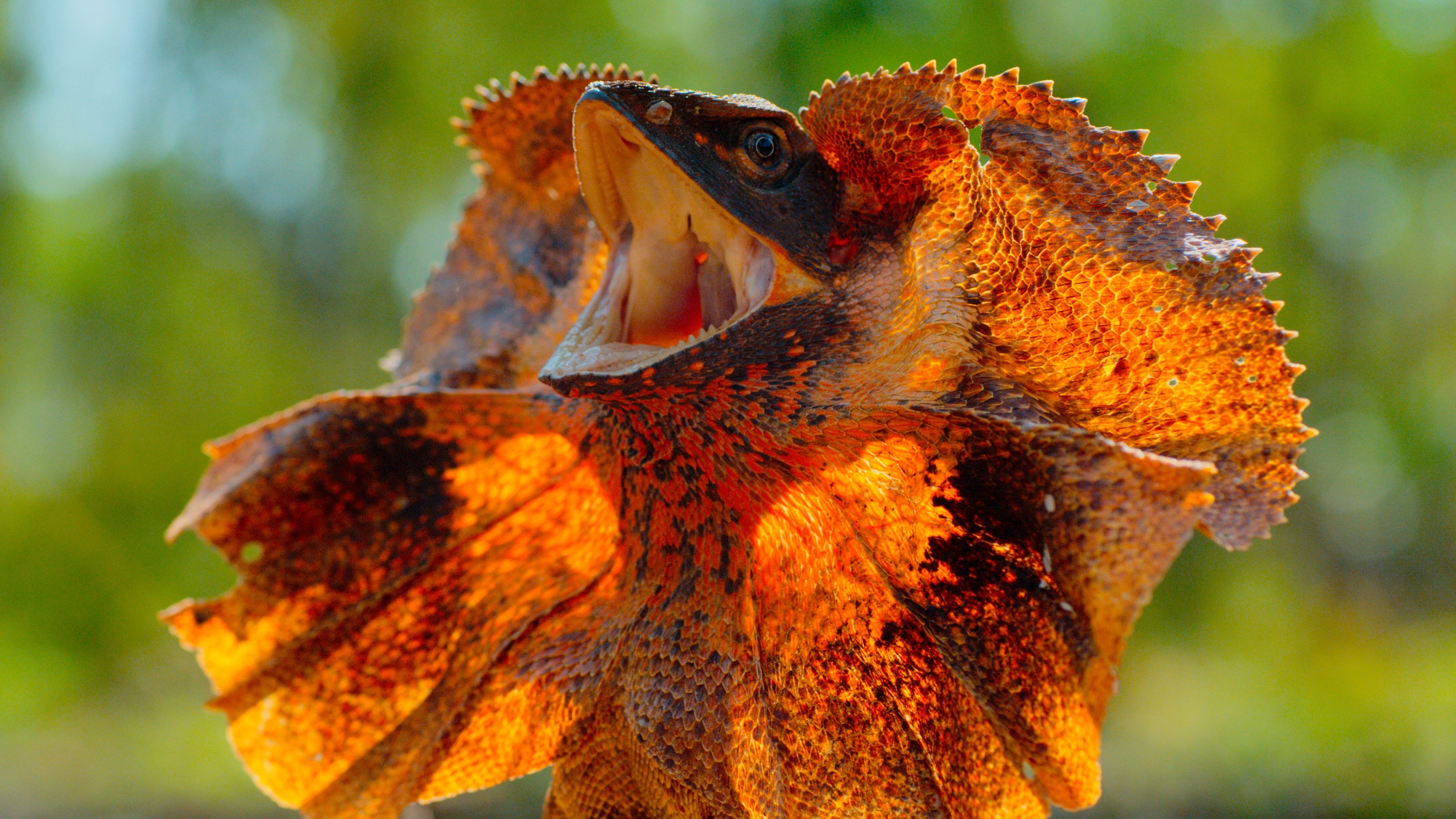 Крошечный мир 4 серия Крошечный мир 4 серия