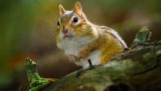 Крошечный мир 1 сезон 5 серия