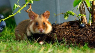 Крошечный мир 1 сезон 6 серия