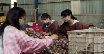 Гнилые 3 серия