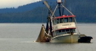 Гнилые 1 сезон 6 серия