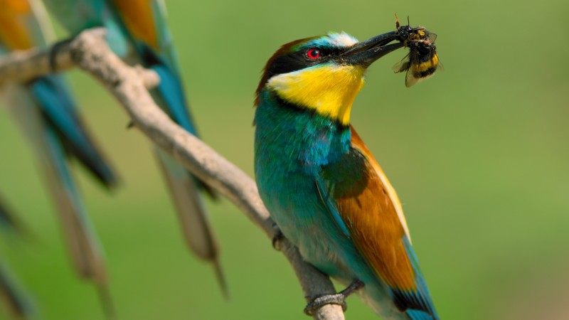 Крошечный мир 2 сезон 1 серия Крошечный мир 2 сезон 1 серия