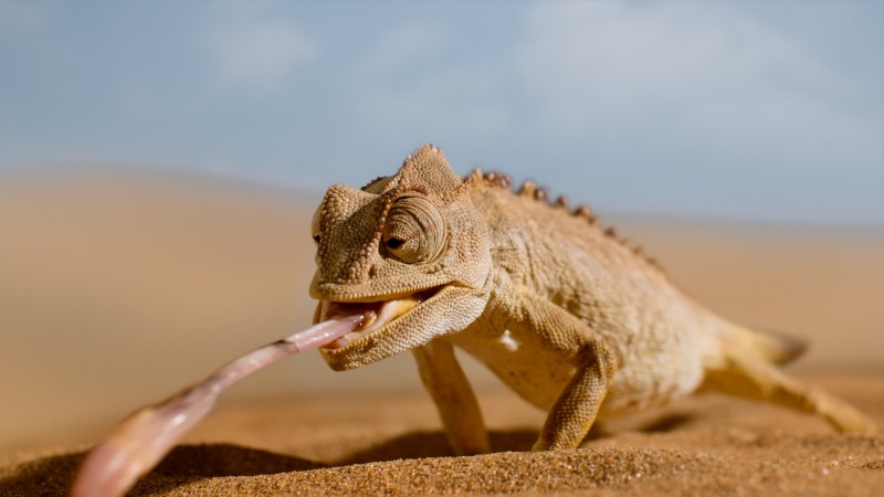 Крошечный мир 2 сезон 6 серия Крошечный мир 2 сезон 6 серия