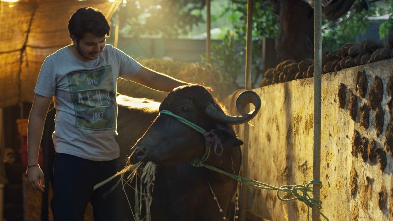 Хостел Дейз 2 сезон 4 серия