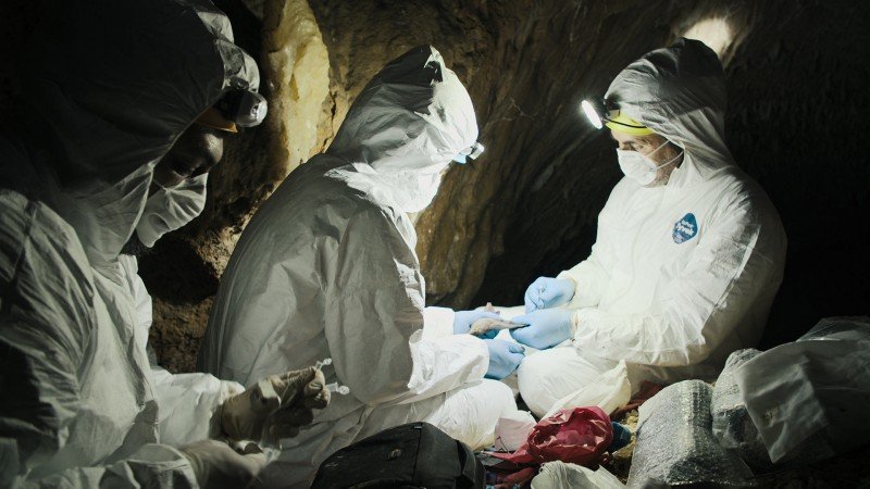 Пандемия: Как предотвратить распространение 3 серия