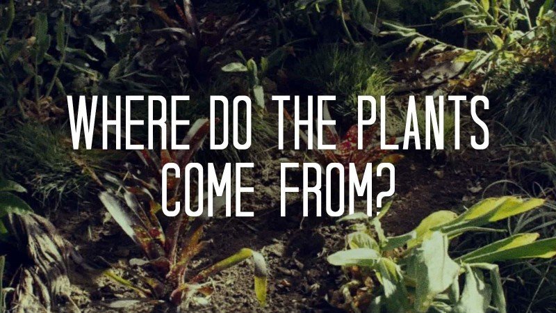 Возвращение домой 4 серия