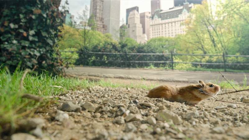 Крошечные существа 2 серия Крошечные существа 2 серия