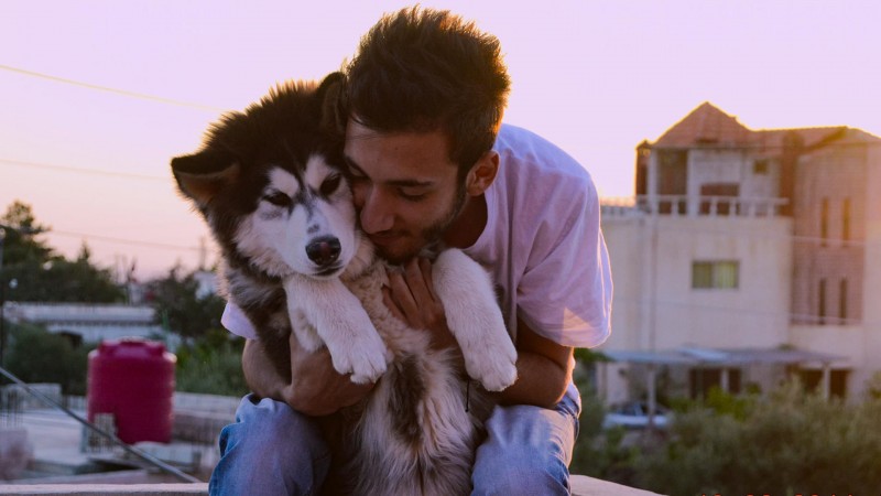 Собаки 2 серия