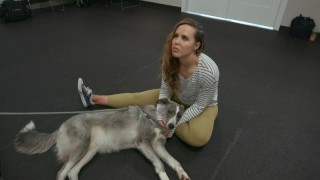 Собаки 2 сезон 3 серия