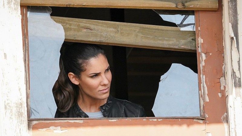 Морская полиция: Лос-Анджелес 9 сезон 19 серия