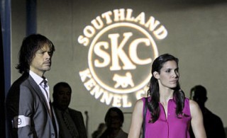 Морская полиция: Лос-Анджелес 4 сезон 5 серия