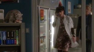 Морская полиция: Спецотдел 13 сезон 12 серия