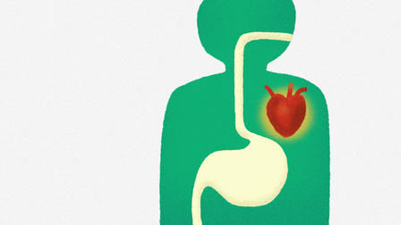 Разъяснения 6 серия Разъяснения 6 серия