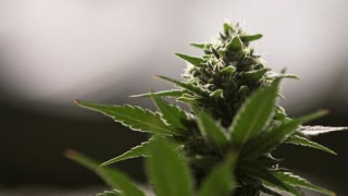 Разъяснения 1 сезон 12 серия