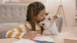 Разъяснения 3 сезон 4 серия