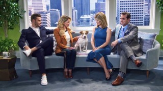 Более полный дом 4 сезон 3 серия