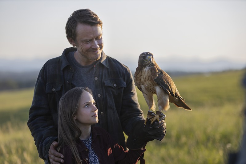 Джо Пикетт 2 серия