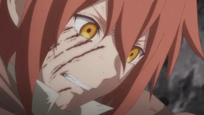 Паладин издалека 12 серия