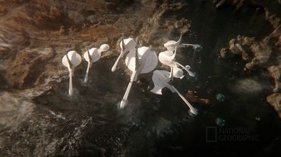 Космос: Возможные миры 2 серия