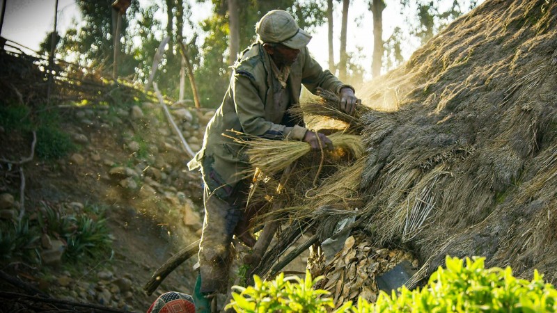 Зелёная планета 5 серия