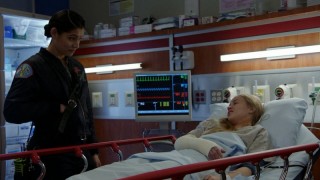 Чикаго в огне 10 сезон 17 серия