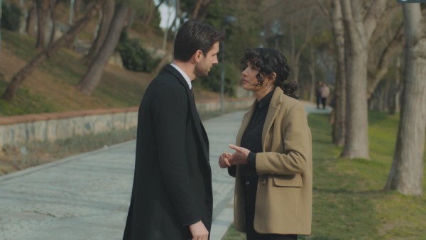 Мечты и жизни 13 серия