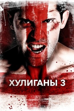 Хулиганы 3