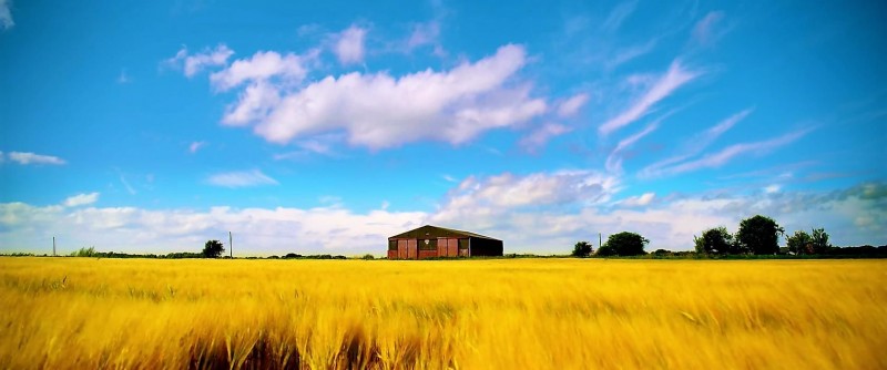 Утопия 2 сезон 4 серия Утопия 2 сезон 4 серия