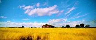 Утопия 2 сезон 4 серия