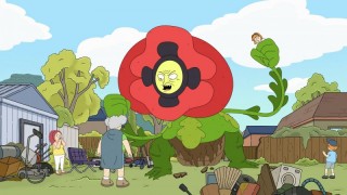 Человек-коала 1 сезон 1 серия