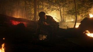 Волчья стая 1 сезон 1 серия