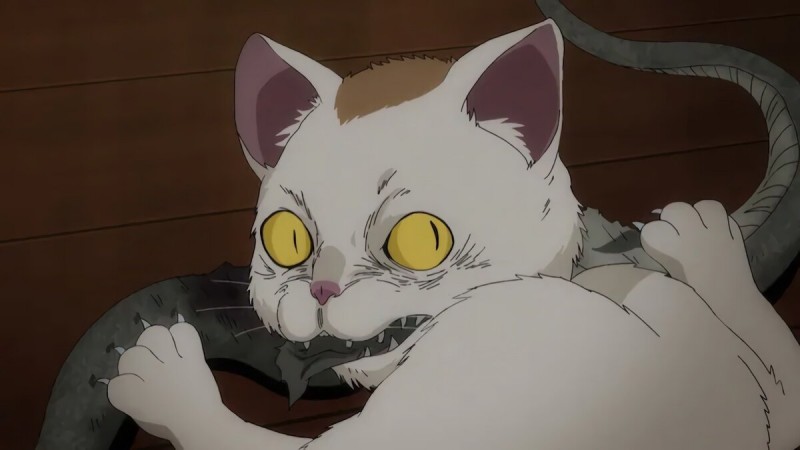 Дзюндзи Ито: Маньяк 12 серия