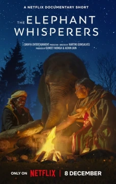 Заклинатели слонов