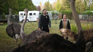 Контроль за животными 1 сезон 1 серия