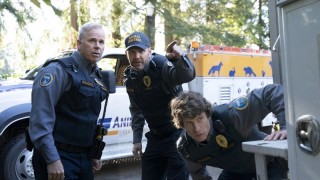 Контроль за животными 1 сезон 3 серия