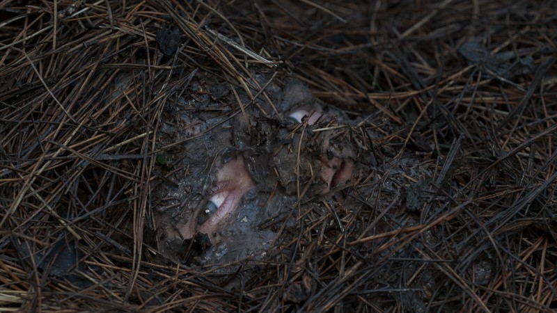 Список смертников 6 серия