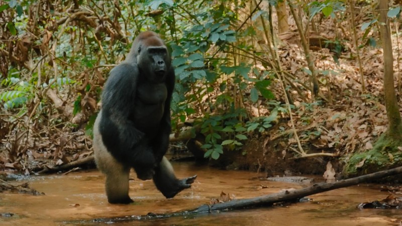 Великаны планеты 4 серия