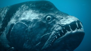 Доисторическая планета 2 сезон 4 серия