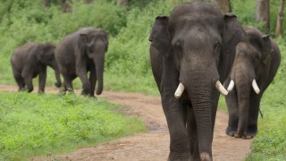 Наша планета 2 сезон 4 серия