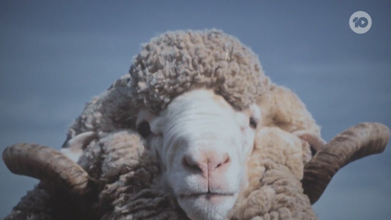 Северный берег 3 серия