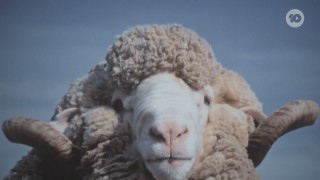 Северный берег 1 сезон 3 серия