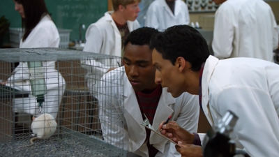 Сообщество 10 серия