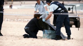 Вершина озера 2 сезон 1 серия