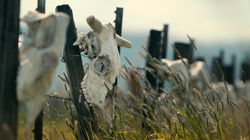 Неразгаданные тайны 5 сезон 3 серия