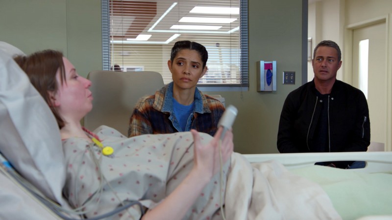 Чикаго в огне 13 сезон 20 серия