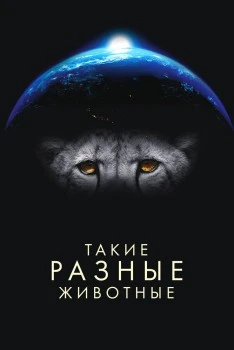 Такие разные животные